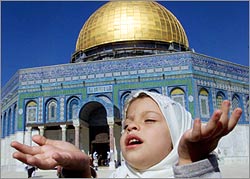 الصورة غير متاحة