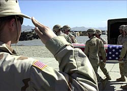 الصورة غير متاحة