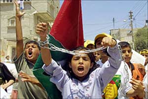 الصورة غير متاحة