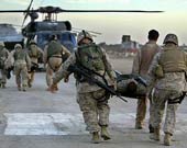 الصورة غير متاحة