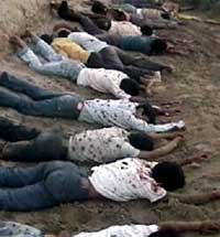 الصورة غير متاحة