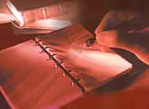 الصورة غير متاحة