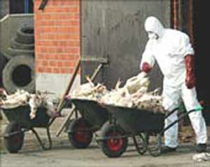 الصورة غير متاحة