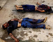 الصورة غير متاحة