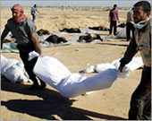 الصورة غير متاحة