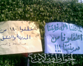 الصورة غير متاحة