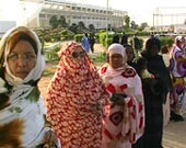 الصورة غير متاحة