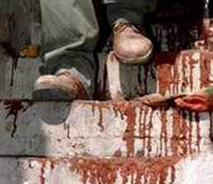 الصورة غير متاحة