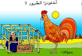 الصورة غير متاحة