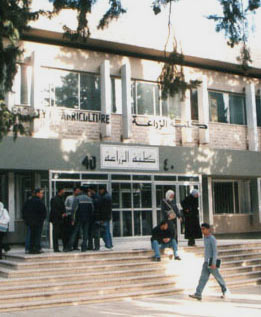 الصورة غير متاحة