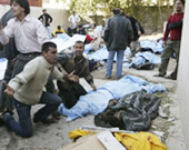 الصورة غير متاحة