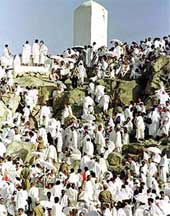 الصورة غير متاحة