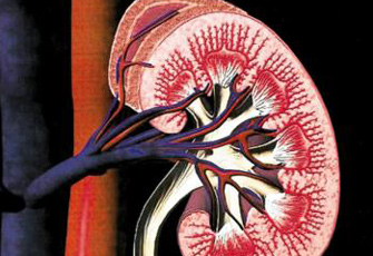 الصورة غير متاحة
