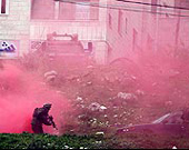 الصورة غير متاحة