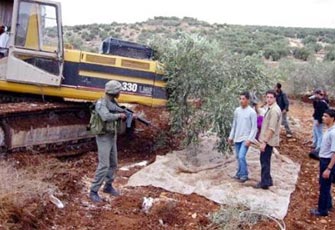 الصورة غير متاحة