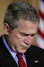 الصورة غير متاحة