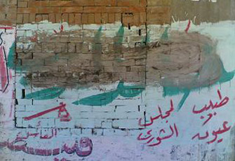الصورة غير متاحة