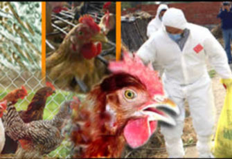 الصورة غير متاحة