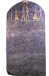 الصورة غير متاحة