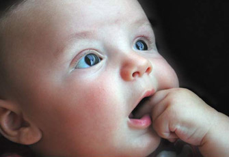 الصورة غير متاحة