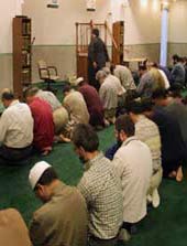 الصورة غير متاحة