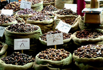 الصورة غير متاحة