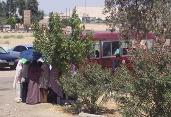 الصورة غير متاحة