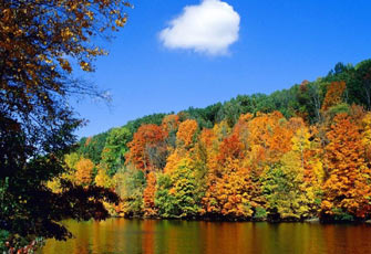 الصورة غير متاحة