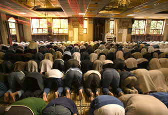 الصورة غير متاحة