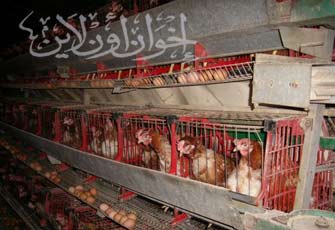 الصورة غير متاحة