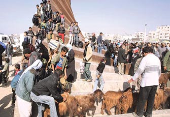 الصورة غير متاحة