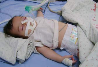 الصورة غير متاحة