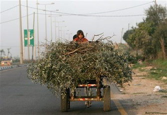 الصورة غير متاحة