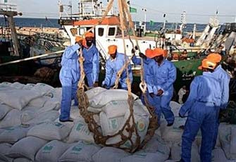 الصورة غير متاحة