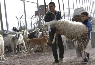 الصورة غير متاحة