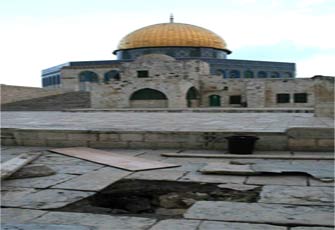 الصورة غير متاحة