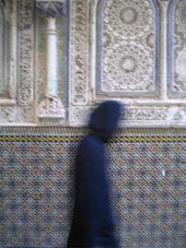الصورة غير متاحة