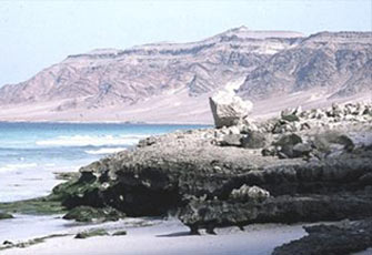 الصورة غير متاحة