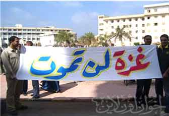 الصورة غير متاحة