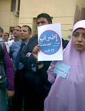 الصورة غير متاحة