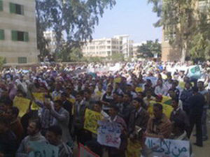 الصورة غير متاحة