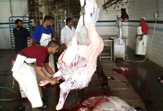 الصورة غير متاحة