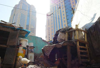 الصورة غير متاحة