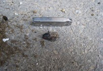 الصورة غير متاحة