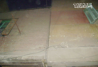 الصورة غير متاحة