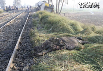 الصورة غير متاحة