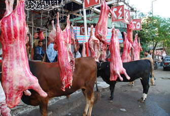 الصورة غير متاحة