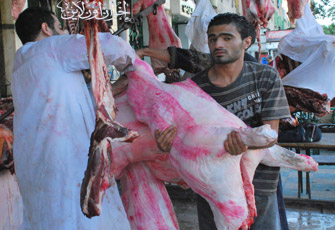 الصورة غير متاحة