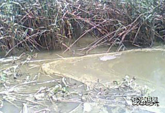 الصورة غير متاحة