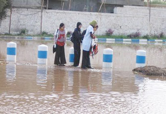 الصورة غير متاحة